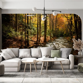 Image 1 of Art Gift Decor Фототапет - Есенна горска пътека