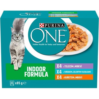 ONE Multipack Indoor mini filé chicken 12x85 g