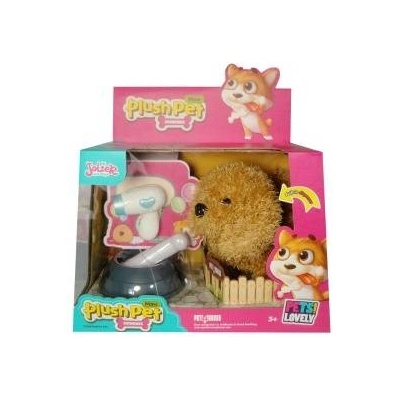 Animals puppy with accessories