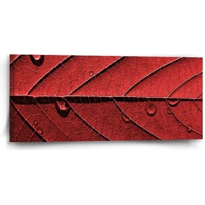 Sablio Obraz Červený list - 110x50 cm