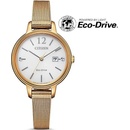 Citizen EW2447-89A
