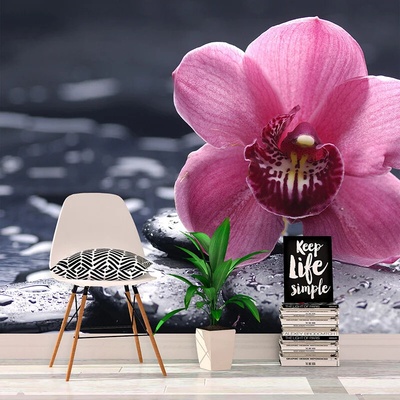 Sablio Tapeta Orchidea, rozmery 336x220 cm