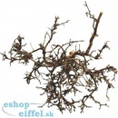 Lucky Reptile Desert Bush vybělené 15-20 cm