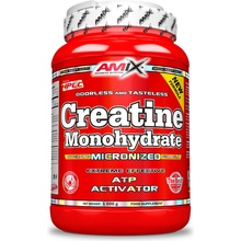 Amix Creatine monohydrate 1000 g