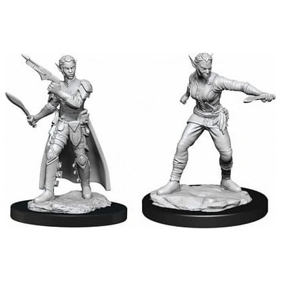 Dungeons & Dragons Nolzur s Marvelous Miniatures Shifter Rogue Female