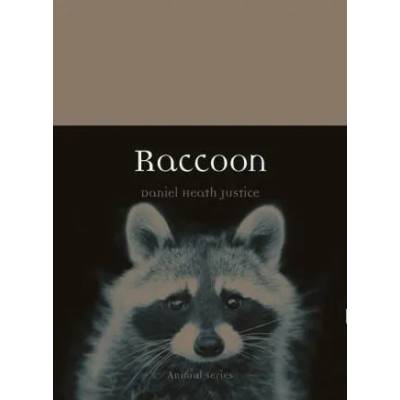 Raccoon