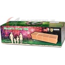 Pyrotechnika Kompaktní ohňostroj Show time 256 ran