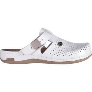 LEONS CRURA 36