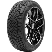 DELINTE AW6 205/60 R16 96H