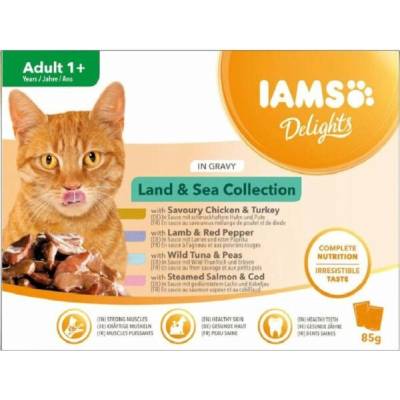 IAMS DELIGHTS Land & Sea Collection in Gravy box 8 x 85 g