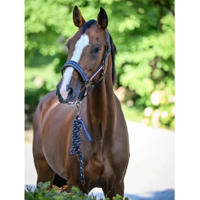 Tommy Hilfiger Ohlávka s vodítkem Yale Set taupe