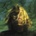 SEGALL, TY - THREE BELLS CD