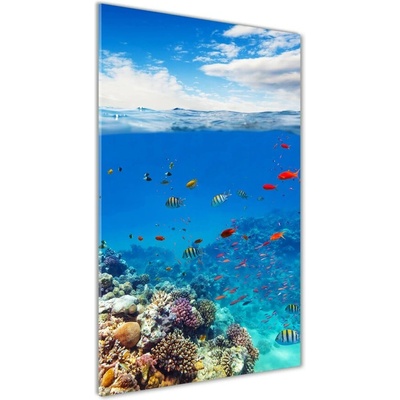 Vertikálny foto obraz sklo tvrdené Koralový útes 50x100 cm