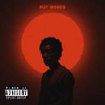 Warner Woods Roy: Waking at Dawn (Coloured Red Vinyl) - Vinyl (LP) (044996)