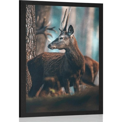 Plakát jelen v borovém lese - 40x60 no frame