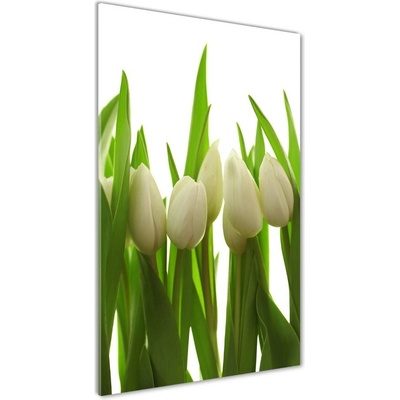 Vertikálny fotoobraz na skle Biele tulipány 50x100 cm