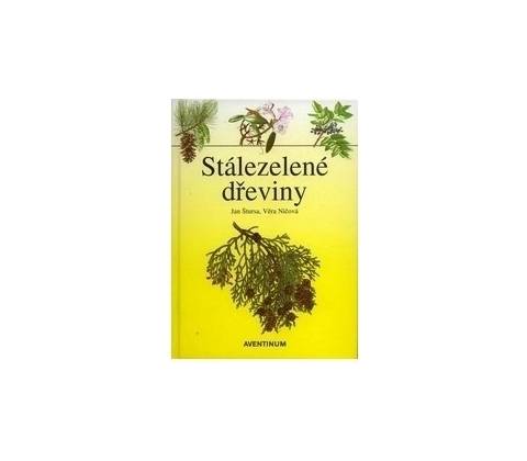 Stálezelené dřeviny