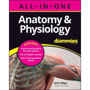 Anatomy & Physiology All-in-One For Dummies (+ Cha pter Quizzes Online) | Odya, Erin (ISBN: 9781394153657)