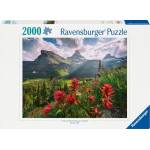 Ravensburger Pristine Mountains 2000pcs (12001415)