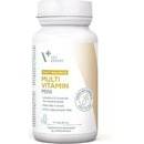 Vetexpert Multivitamin 30 kapsúl