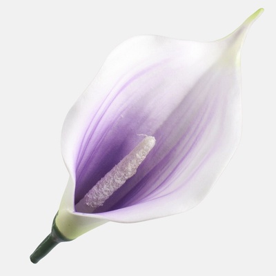 Kala mini penová hlava Lilac/Cream 13 cm 24 ks/bal, Fialová/Krémová Ø 13 cm