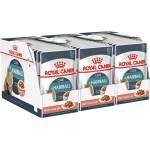 Royal Canin Hairball Care Gravy консерви за котки в сос 36 x 85 г
