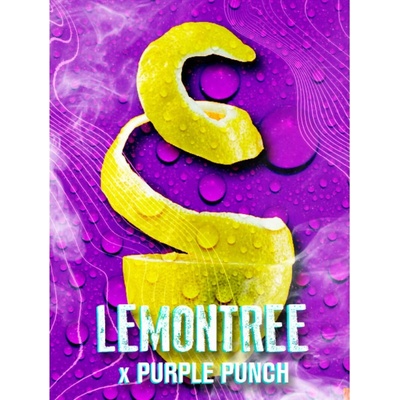 Tramuntana Seeds Lemon Tree x Purple Punch semienka neobsahujú THC 3 ks