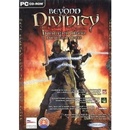 Beyond Divinity