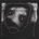ECHO COLLECTIVE - PLAYS AMNESIAC CD