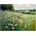 Obraz 113x85 cm Full Spring – Styler