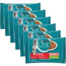 Purina One SterilCat mini filetky s morkou a zelenými fazuľkami s lososom a mrkvou v šťave 24 x 85 g