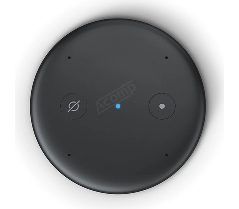Amazon Echo Input