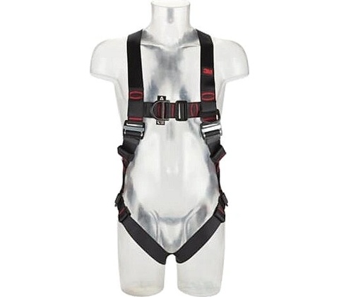 3M Protecta