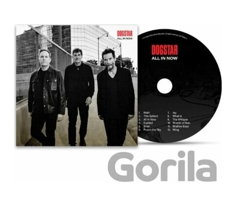 DOGSTAR - ALL IN NOW CD