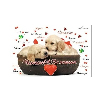 Честит Свети Валентин - С мили кученца