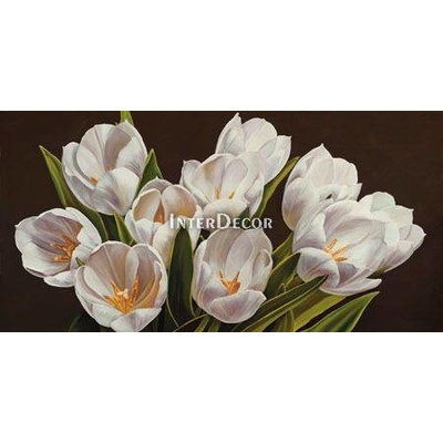 Obraz bílé tulipány 1 deska 100x50