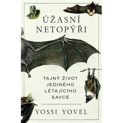 Úžasní netopýři - Yossi Yovel