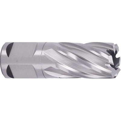 ABSE N-HS-W19-0190025