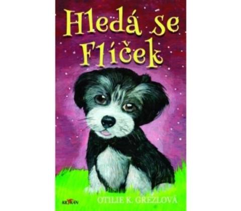 Hledá se Flíček