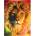 Anatolian - Puzzle Aslan the Lion - 1 000 piese