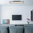 Globo 41596D4