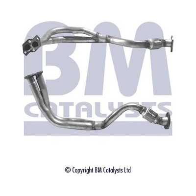 BM CATALYSTS BM70025