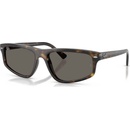 Ray-Ban RB2225 710/B1