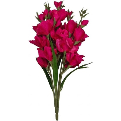 KYTICA GLADIOLA x5 CYKLAMENOVÁ 75CM