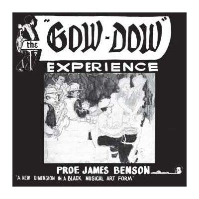 James R. Benson - The Gow-Dow Experience LTD NUM LP
