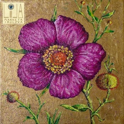 Markéta Irglová - Lila CD