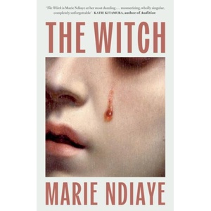 The Witch (ISBN: 9781529449389)