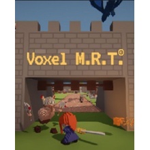 Voxel M.R.T.