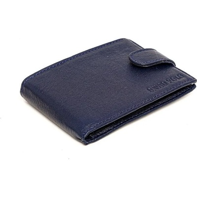 David polo. v David polo visitor 3 (2001 lacivet)