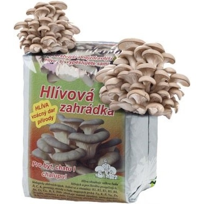 Hlíva ústřičná HLÍVOVÁ ZAHRÁDKA 15 l